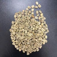 Alternative view of Green Robusta