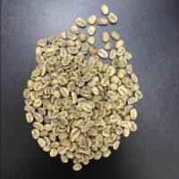 Green Robusta
