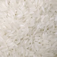 Alternative view of DT8 Rice