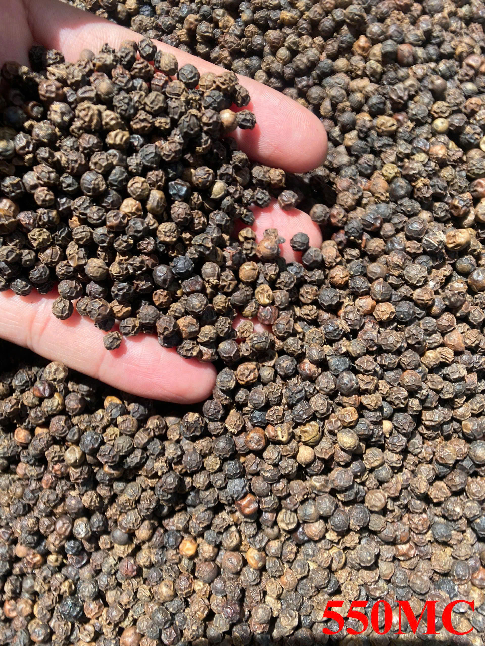 Pepper 550g/l MC