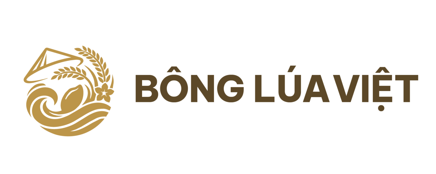 Bông Lúa Việt