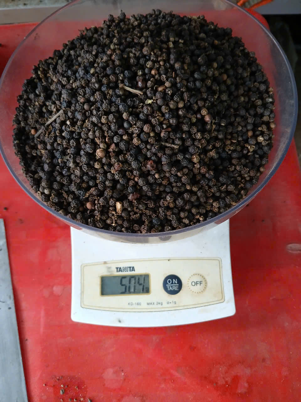 pepper 500 MC
