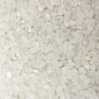 Japonica Rice