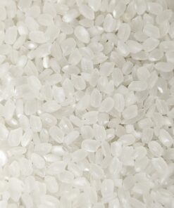 Japonica Rice