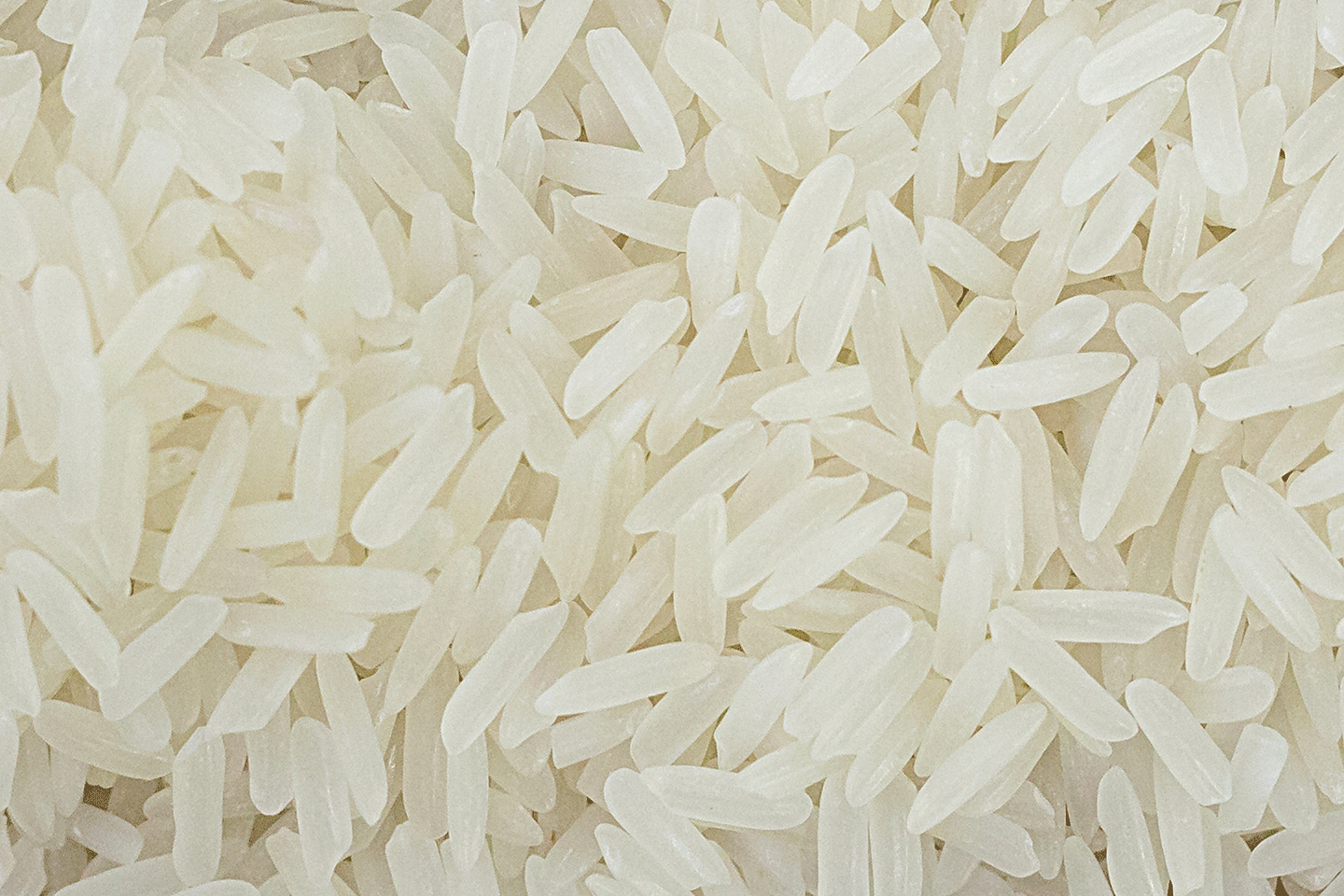 KDM Rice
