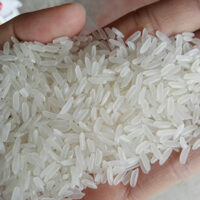Alternative view of IR50404 White Rice