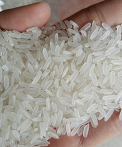 DT8 Rice