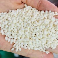 Glutinous Rice