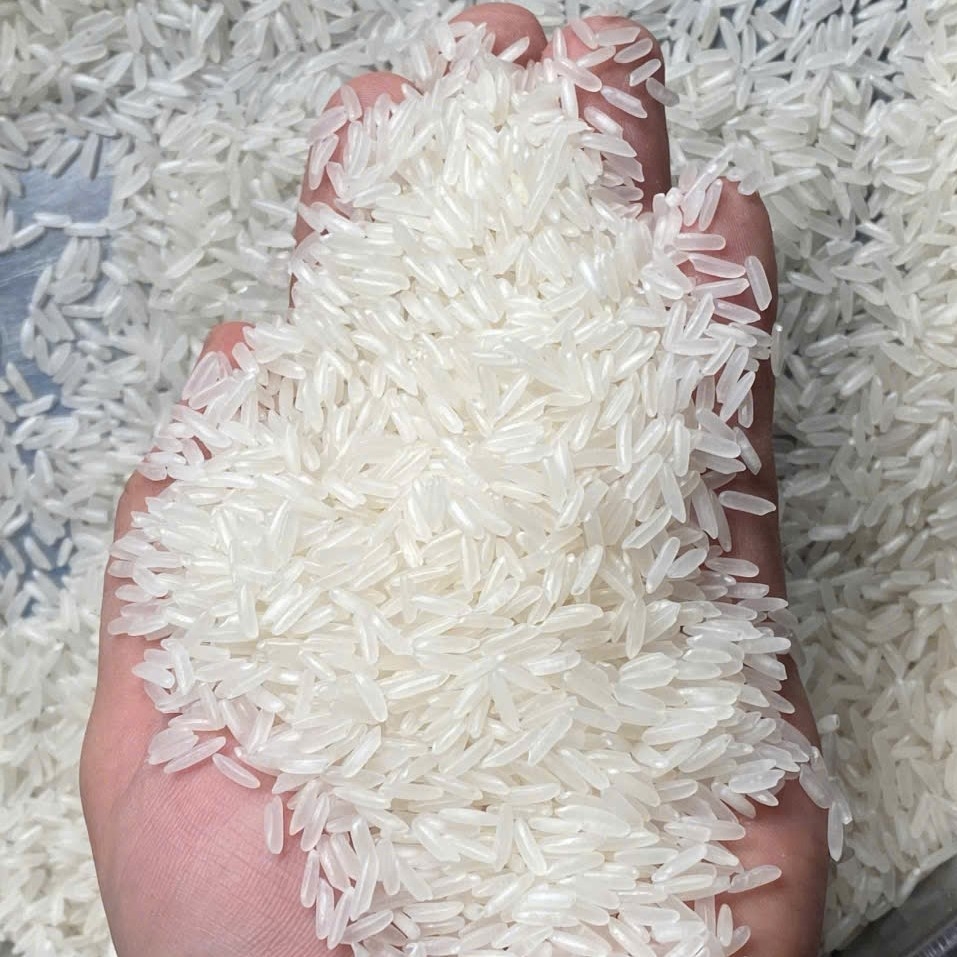 OM18 Fragrant Rice