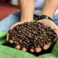 Organic Coffee