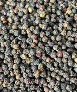 Black Pepper 580 MC