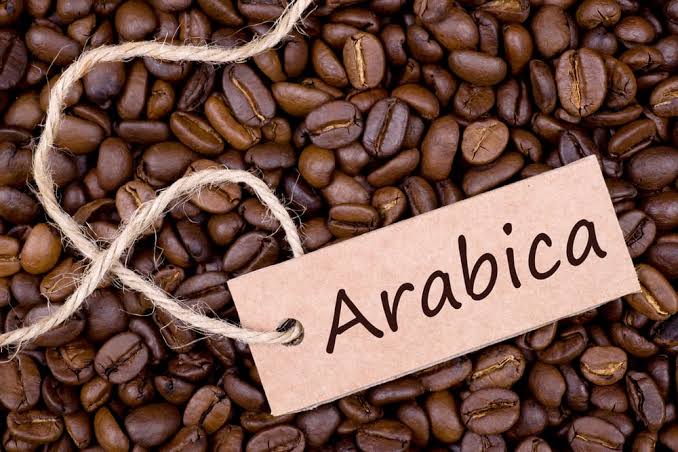 ARABICA