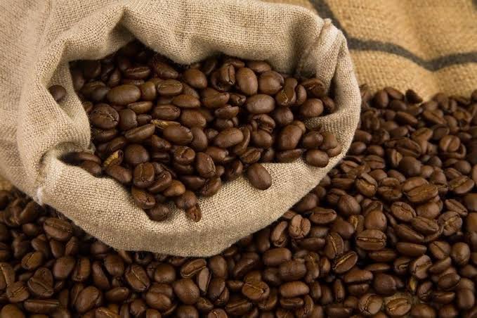 Roasted Robusta - Image 5